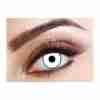 Weiße Kontaktlinsen Manson White Halloween Zombie Look Eyecasions