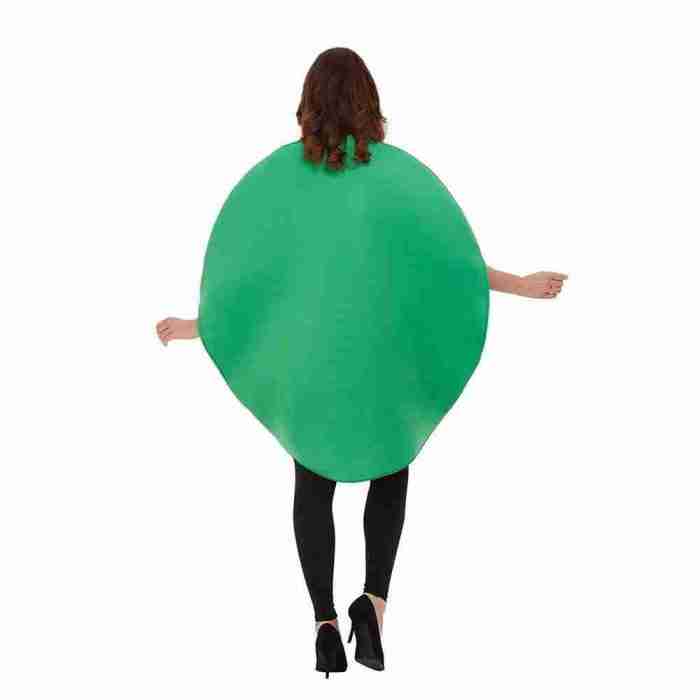 Faschingskostüm Wassermelone Trageansicht Erwachsene Einheitsgröße