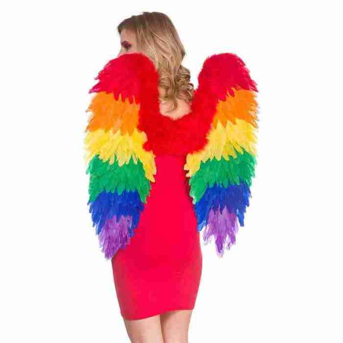 Regenbogen Federflügel Rückansicht bunte Federn Karnevalszubehör