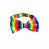 Pride Fliege Regenbogen mehrfarbig Karneval Accessoire