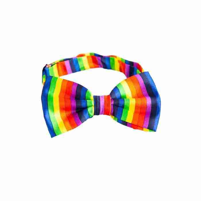Pride Fliege Regenbogen mehrfarbig Karneval Accessoire