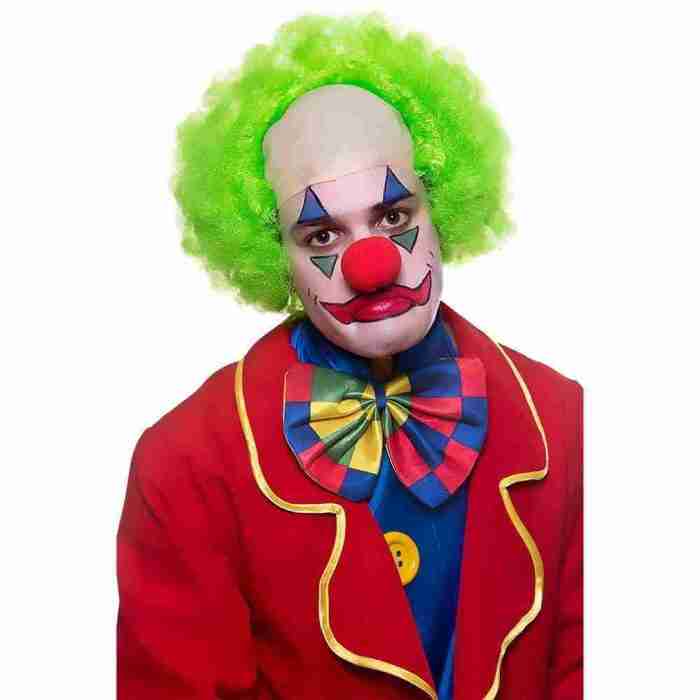 Clown Perücke Grün Afro Karneval Kostüm Zubehör Happy Face