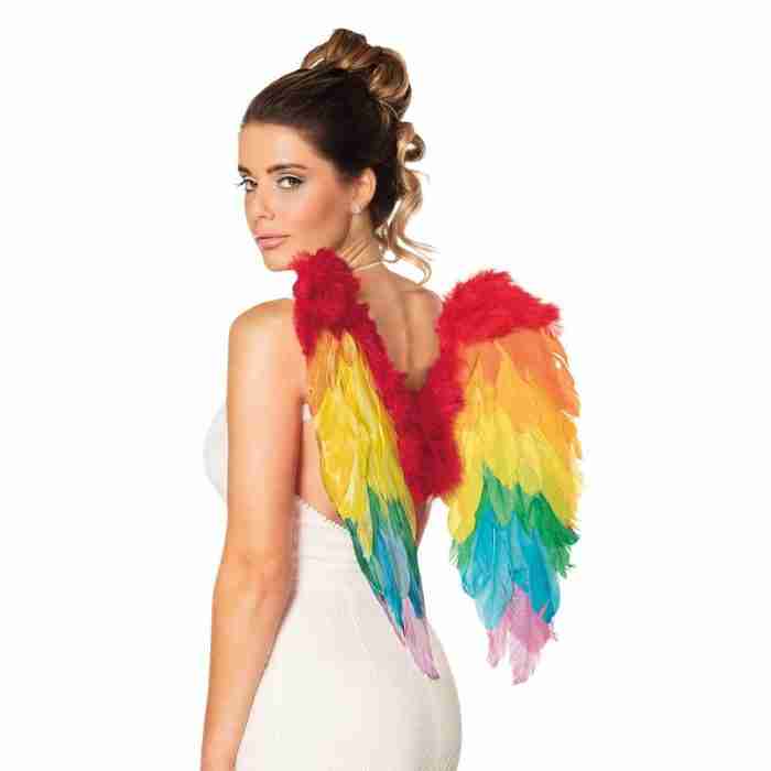 Engelsflügel Gefaltet 50x50cm Regenbogen - carnivalstore.de